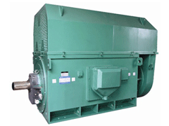 YKK4002-4Y系列6KV高压电机